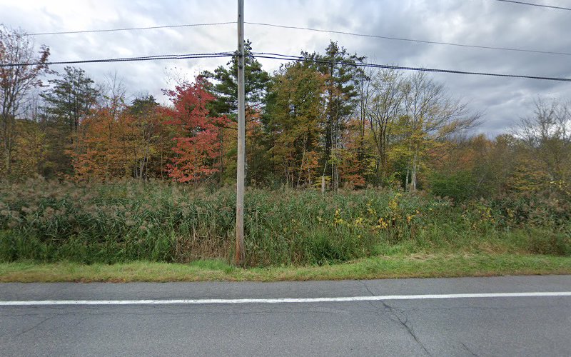 Carbone & Carbone LLP