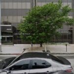 Wegman & Levin