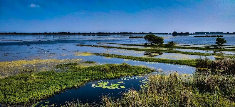 Boatwright Law Firm, LLC