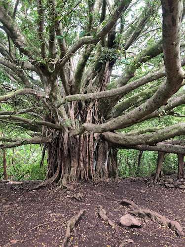 Law Office Of Lorena R Smalls PC