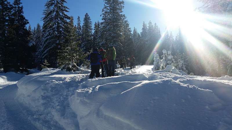 Somach Simmons & Dunn