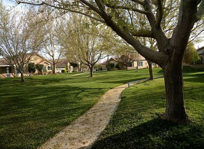 Law Offices of Louis G. Fazzi