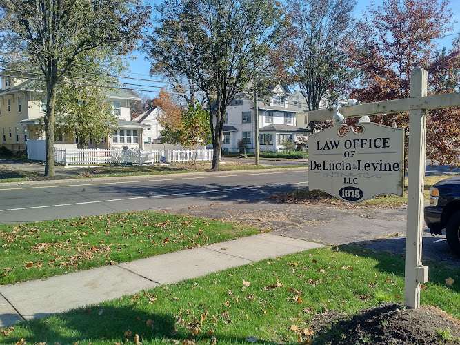 De Lucia & Levine, LLC