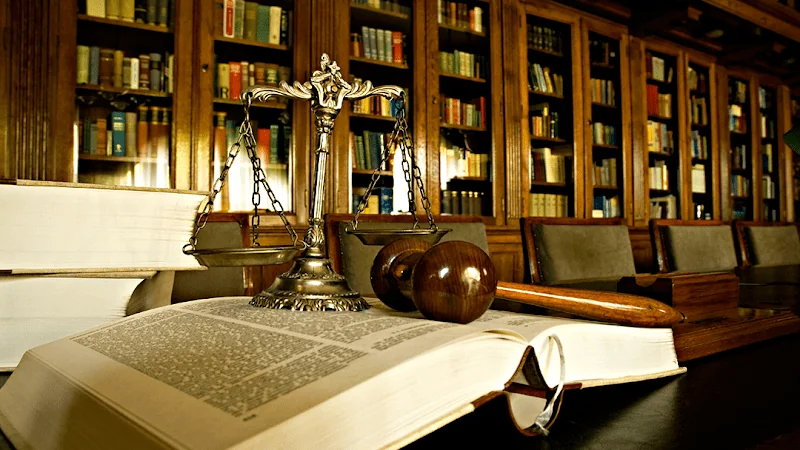 Attorney Portrait Expanded