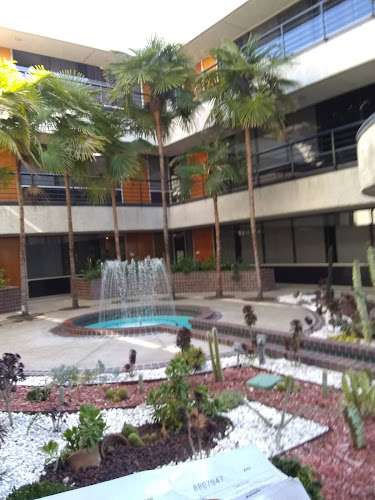 Elder Law & Advocacy