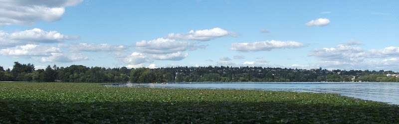 Assemble Law Group, PLLC