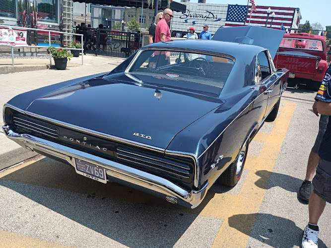 Fruit Dill Goodwin & Scholl