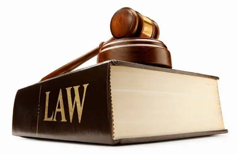 Attorney Portrait