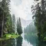 Tamarack Legal Services, PLLC