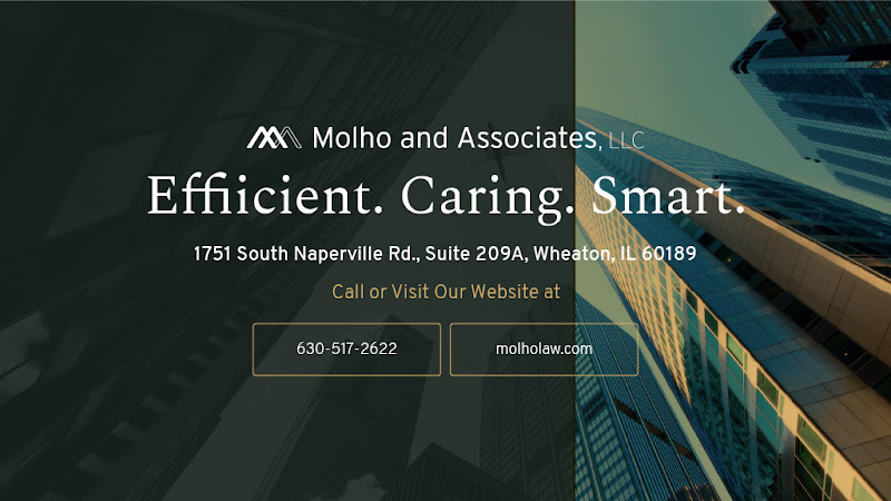 Molho and Associates, LLC