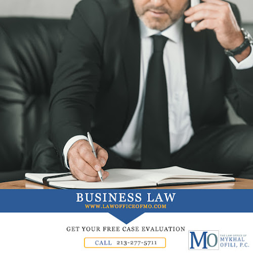 The Law Office of Mykhal Ofili