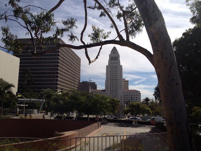 Babachanian | Legal Counsel