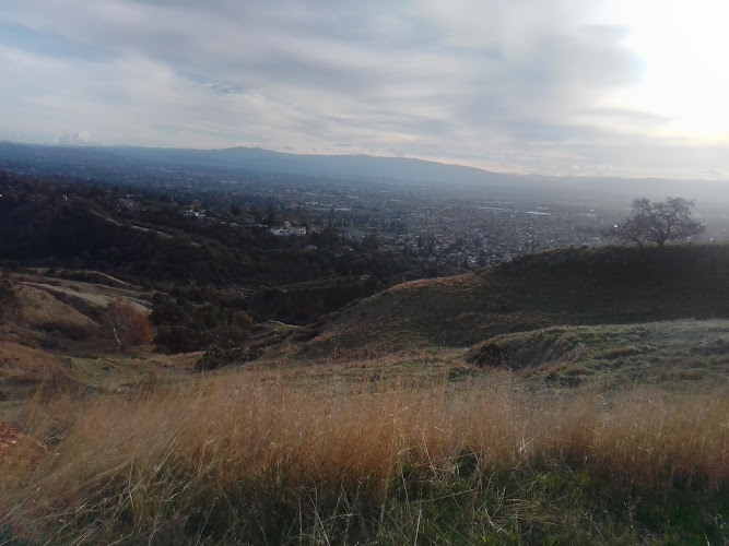 Scott E Shaffman Attorney At Law