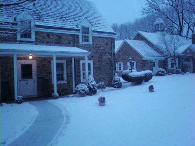 Cohen Marraccini, LLC