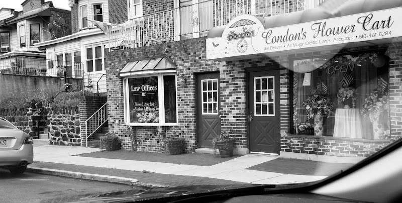 Law Offices of Stephen Molineux