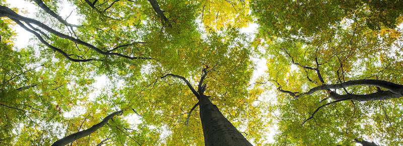 Tomlinson McKinstry, P.C.