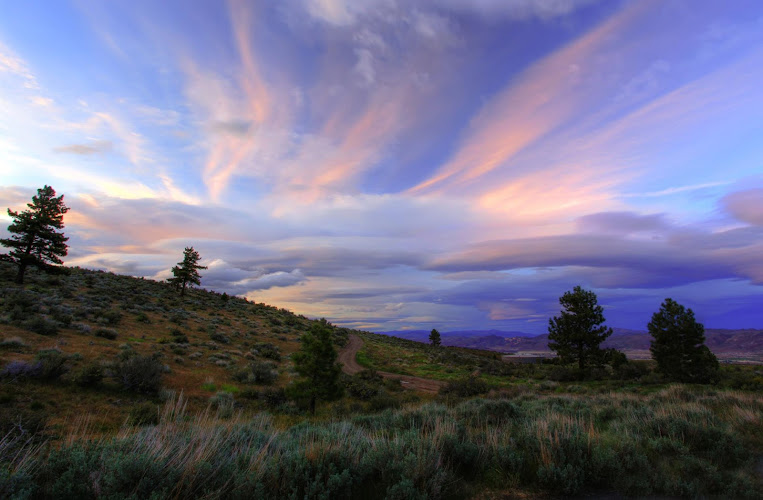 Berkich Lucey Law Group