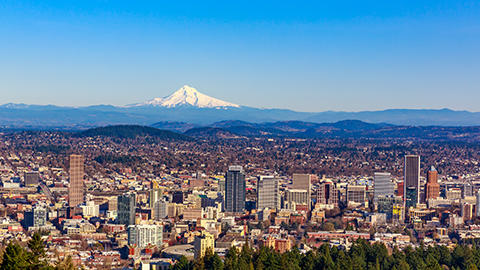 Law Office of Michael J. Orlando