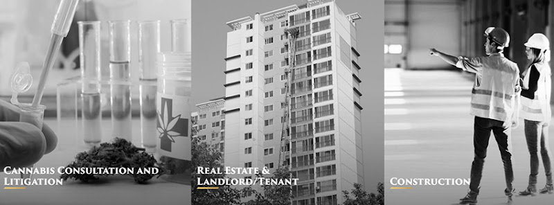 Davidovich Stone Law Group LLP