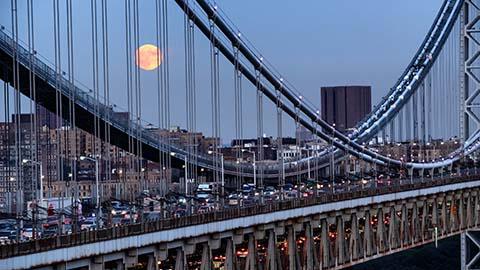 Fridie Law Group LLC