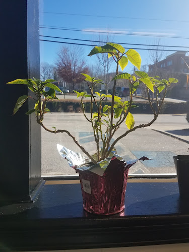 Thomas W Slowen Attorney At Law