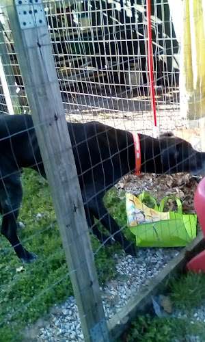 Edmond P Collett Sc Attorney