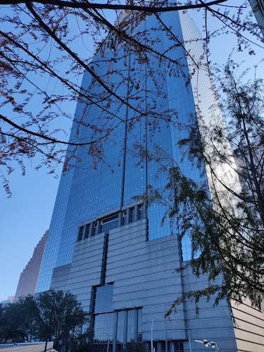 Houston Volunteer Lawyers