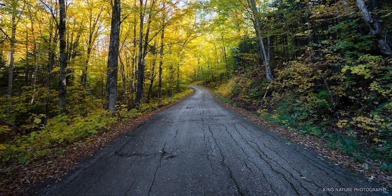 Simpson Legal Group, LLC