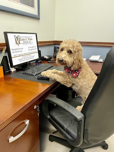 Elissa S. Vessal, Esquire PA