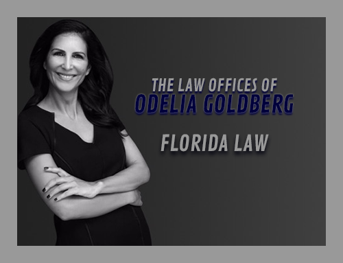 The Law Offices of Odelia Goldberg