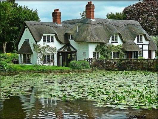 Schutt Law Firm, P.A.