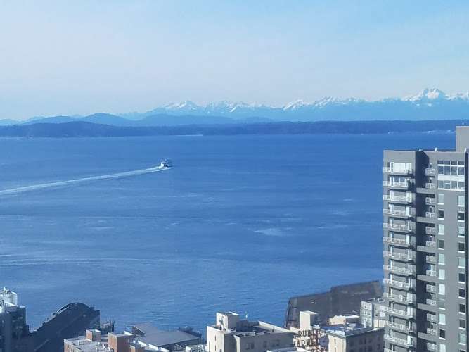 Soha & Lang P S Attorneys At Law