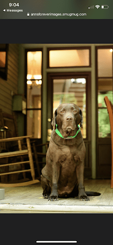 Ashworth & Rye, PLLC