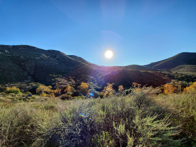 Altman Immigration Law, PC