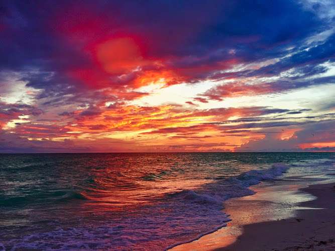 Family Trust Law Center