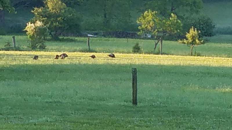 Yoskosky Christopher