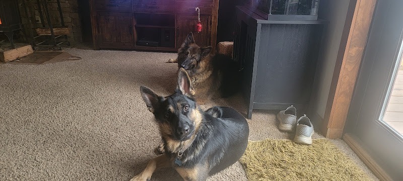 Dreiser Law Group and Law Offices