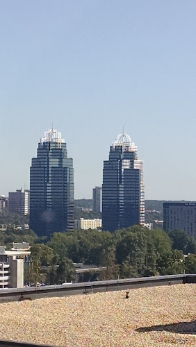 Mozley, Finlayson & Loggins, LLP