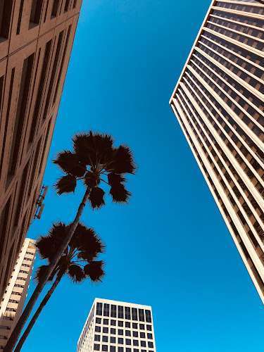 Michael Jay Green & Associates