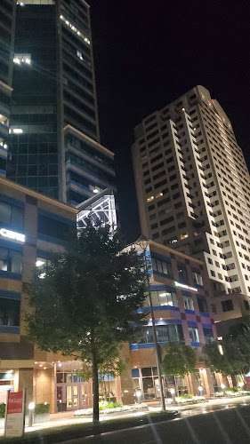 Olson Hagel & Fishburn LLP