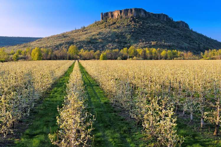 Kenneth M. Tharp – Attorney at Law