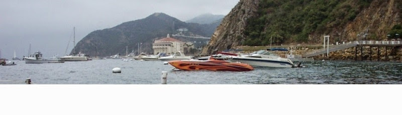 B Stuart Walker Law Office