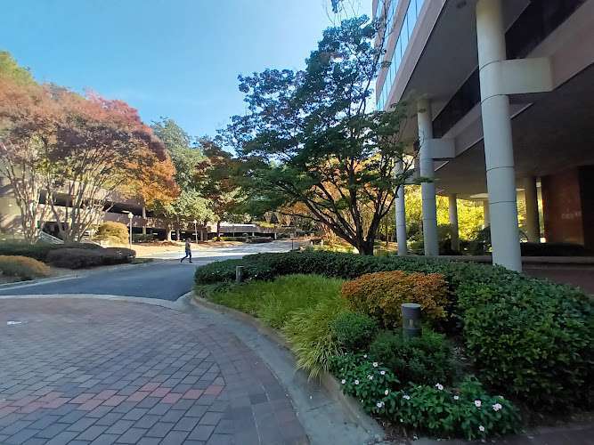 Taylor English Duma LLP