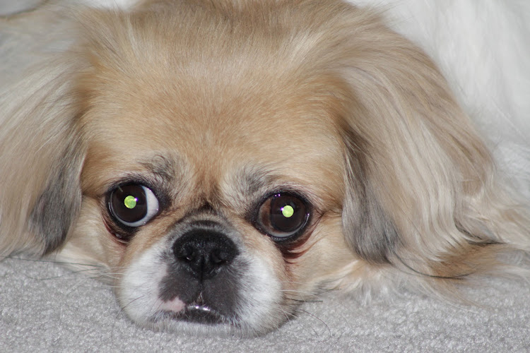 Law Offices of Maribeth Blessing, LLC