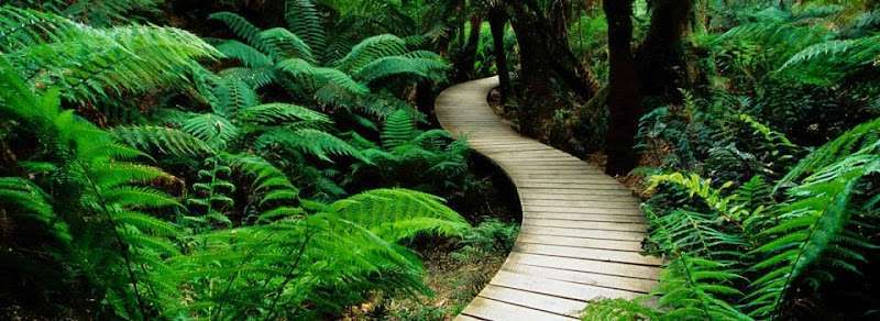 Kirsten Hytopoulos Attorney at Law – Seattle Office