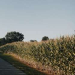 The Law Office of Kyle S. Hall