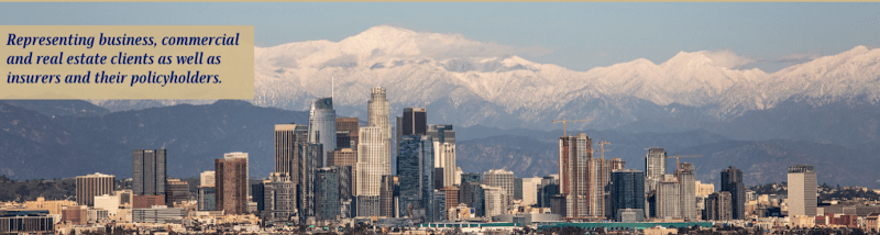 Gray, Duffy, Eisenbaum & Lee, LLP