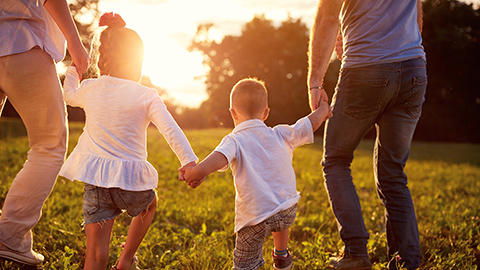 Michael Fink Law, PLLC