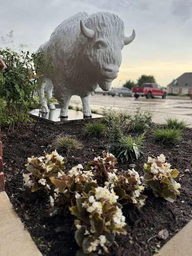 Bison Law Firm