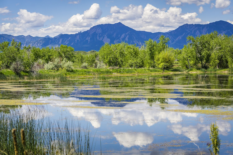 The Cohen Law Firm, P.C.